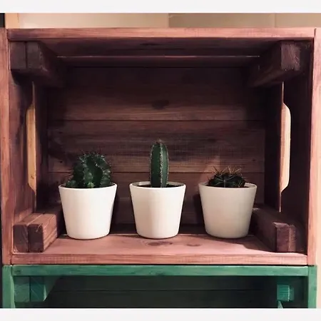 Bed & Breakfast Agora 3*